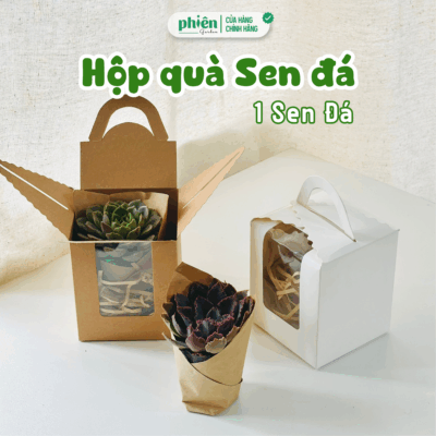 Hộp Quà 1 Sen Đá Chậu Đất Nung