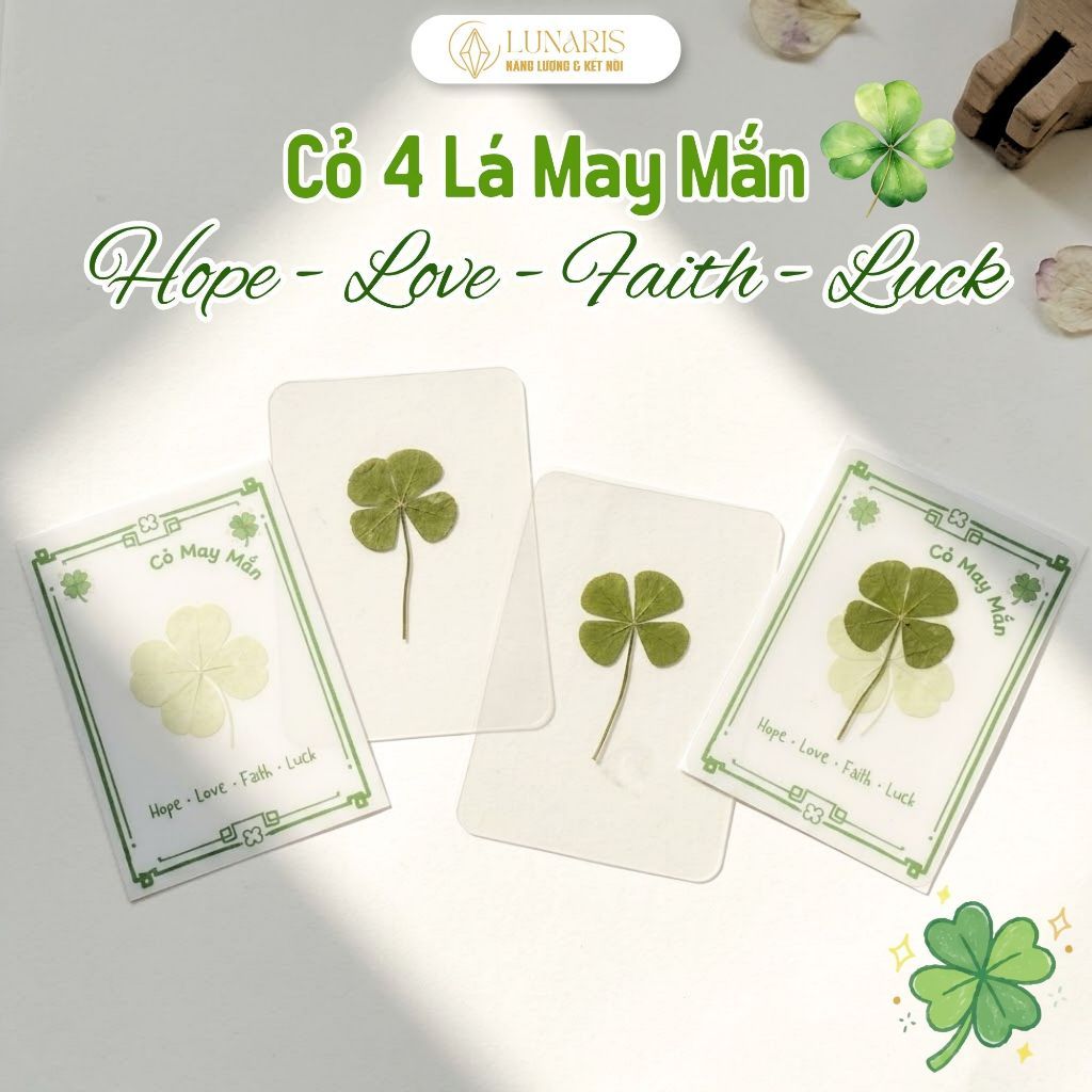 thẻ cỏ 4 lá may mắn lá thật