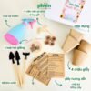 Bộ Kit Ươm Mầm Hạnh Phúc Bé Tự Trồng Cây Gieo Hạt Cà Chua