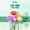 Cây Nấm trang trí tiểu cảnh, sen đá, terrarium, Phụ kiện Tiểu cảnh mini