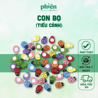 Bọ cánh cứng trang trí tiểu cảnh