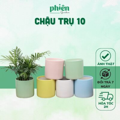 Chậu Trụ Trơn Nhiều Kích Thước Trồng Cây