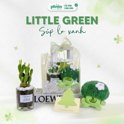 Túi Quà Cây Xương Rồng Little Green
