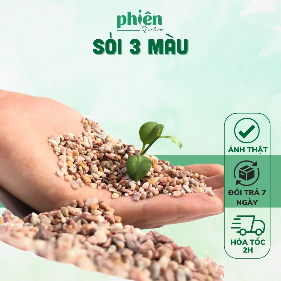 Sỏi Ba Màu, Sỏi Rải Chậu, Sỏi cho cây để bàn, 500gr