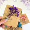 Thiệp Hoa Khô Handmade – Gửi Lời Chúc Ý Nghĩa, Trang Trí Quà Tặng, Dùng Trong Dịp Đặc Biệt