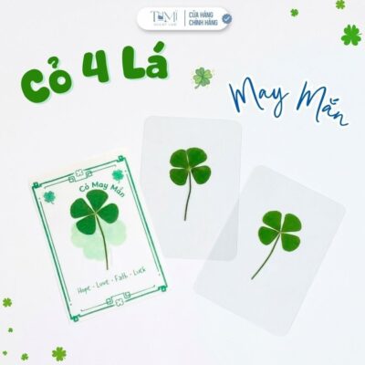Cỏ Bốn Lá May Mắn (Lá Thật), Ép Nhựa Trong Suốt, Biểu Tượng Hy Vọng, May Mắn, Để Ốp Lưng Điện Thoại, Kẹp Sách